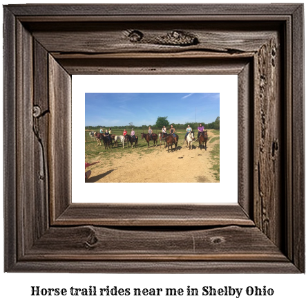 horse trail rides near me in Shelby, Ohio